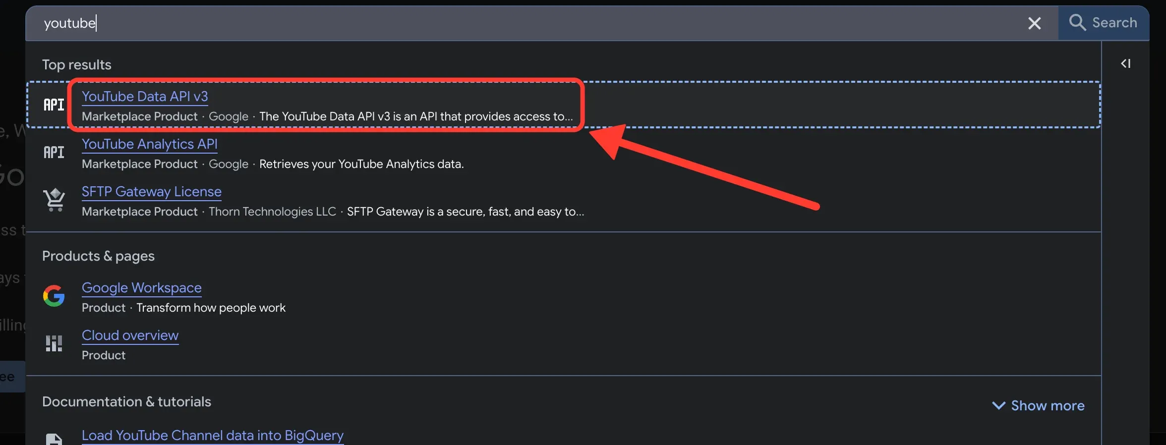 Search results for youtube, with YouTube Data API v3 highlighted